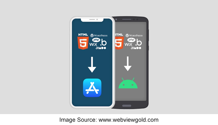 Web to App Converters vs Custom App Development